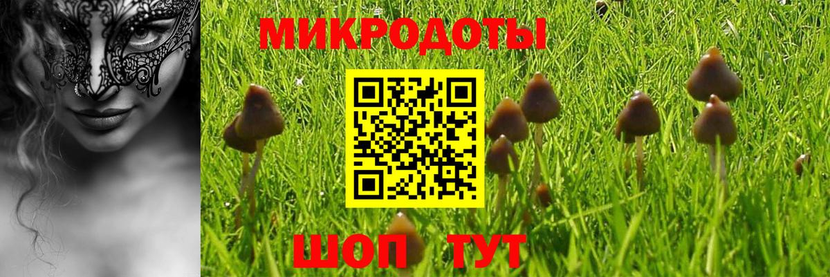 Псилоцибиновые грибы прущие грибы  Вход с VPN  Алатырь  Галлюциногенные грибы Psilocybine cubensis 
