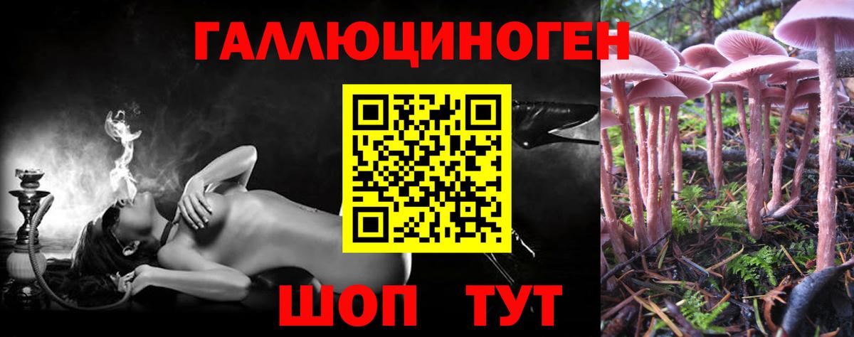Псилоцибиновые грибы мухоморы Алатырь